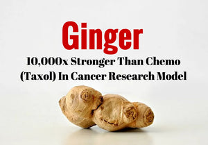 Moringa And Ginger Remarkable Combination Which Fights Deadliest Of Illnesses!